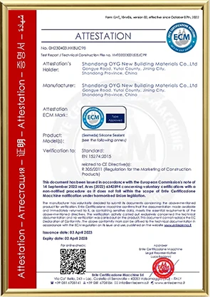ECM (электронный блок управления)
